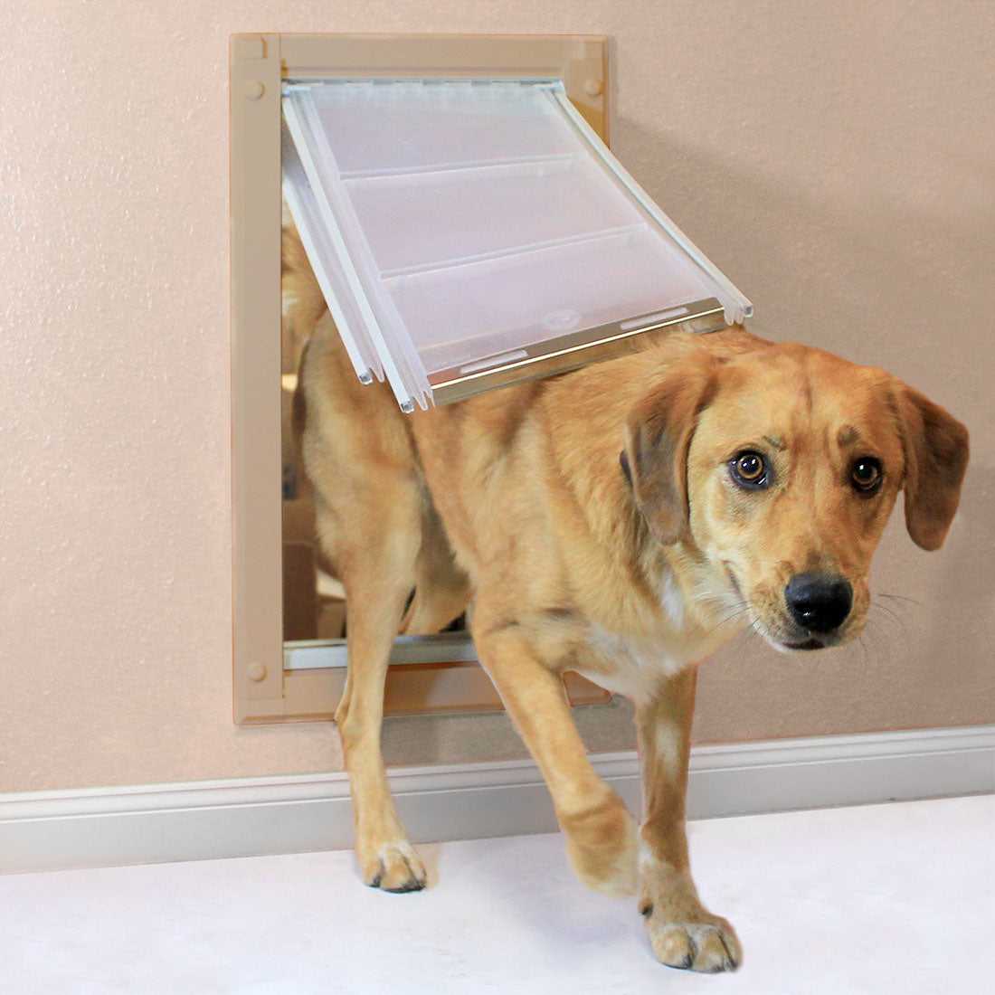 Endura Flap Dog Doors for Walls (Ships from Canada)
