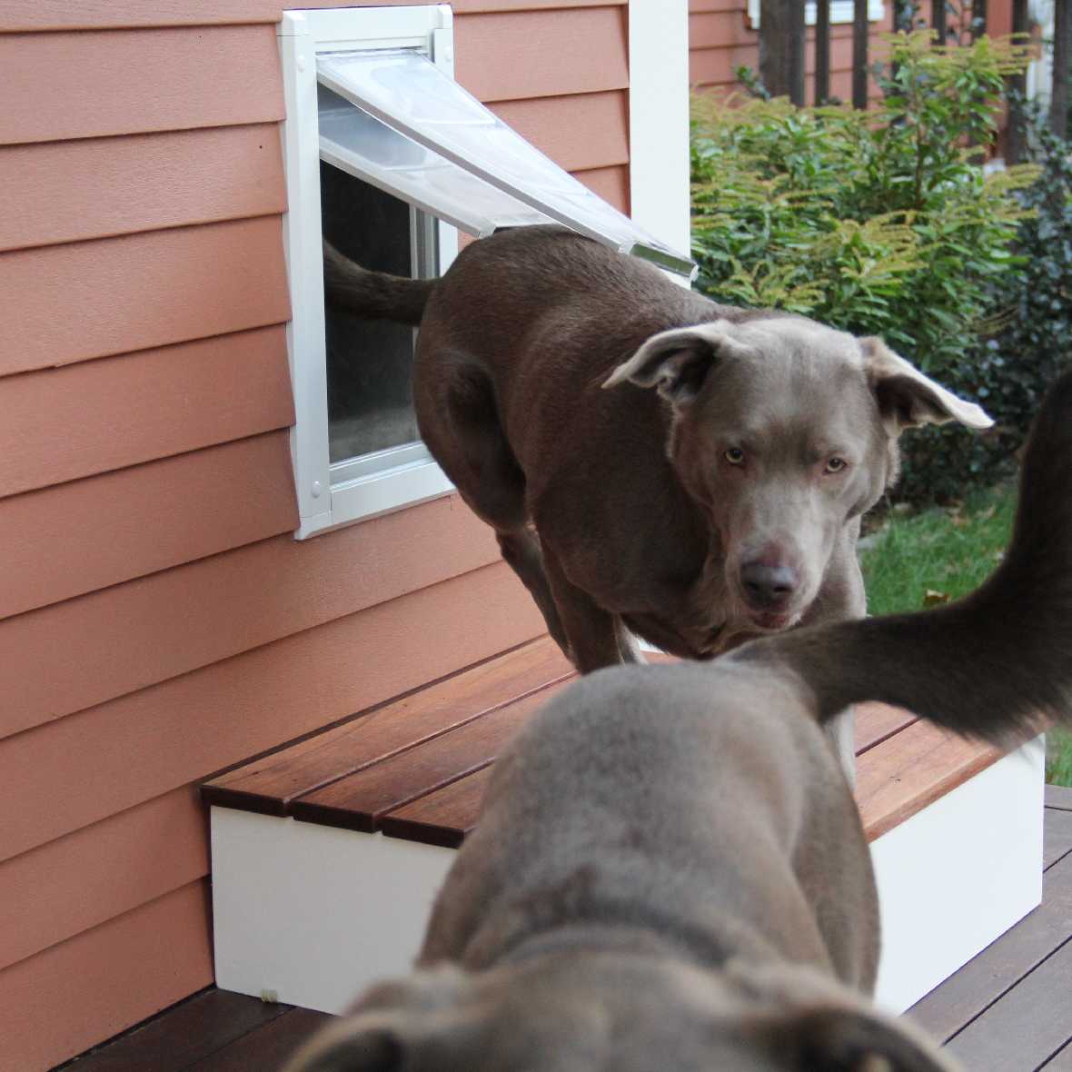 Endura Flap Dog Doors for Walls (Ships from Canada)