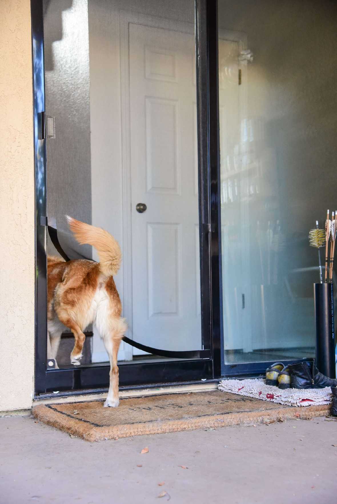 Screen Pet Door Conversion Kit