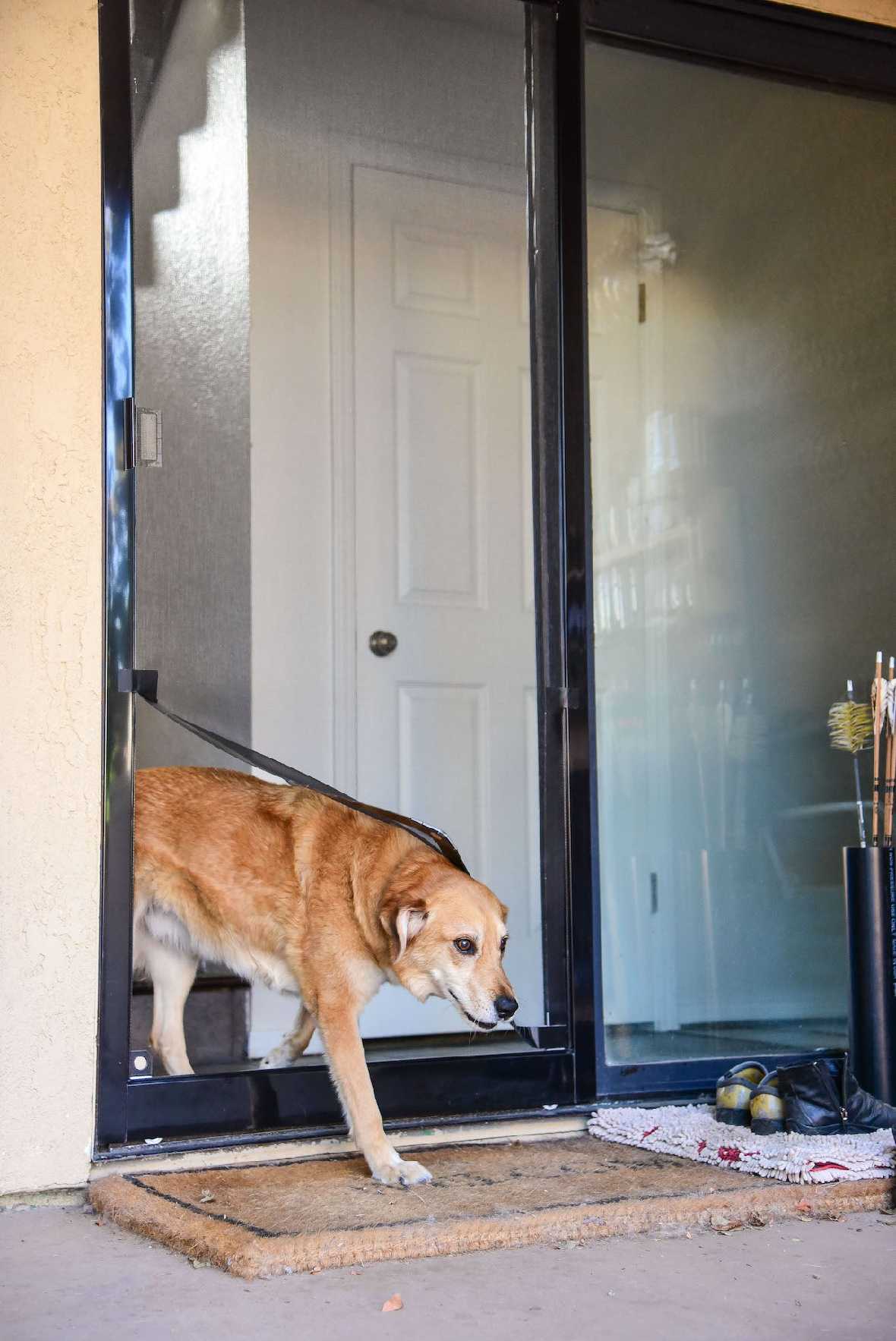 Screen Pet Door Conversion Kit