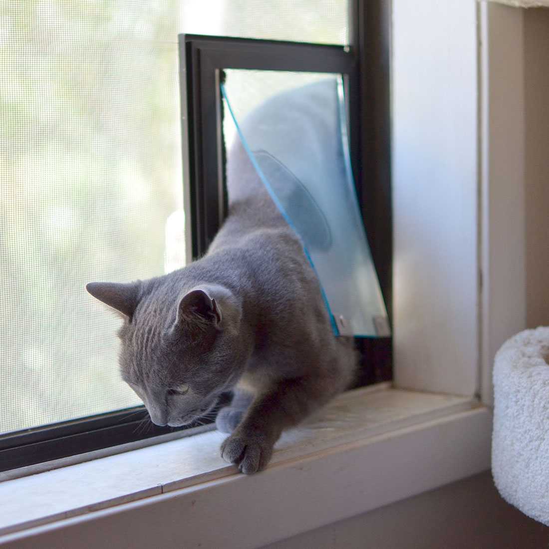 Hale Cat Door for Screens