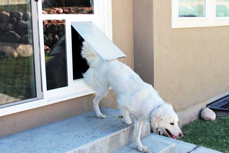 Pet Door Products - "In The Glass"
