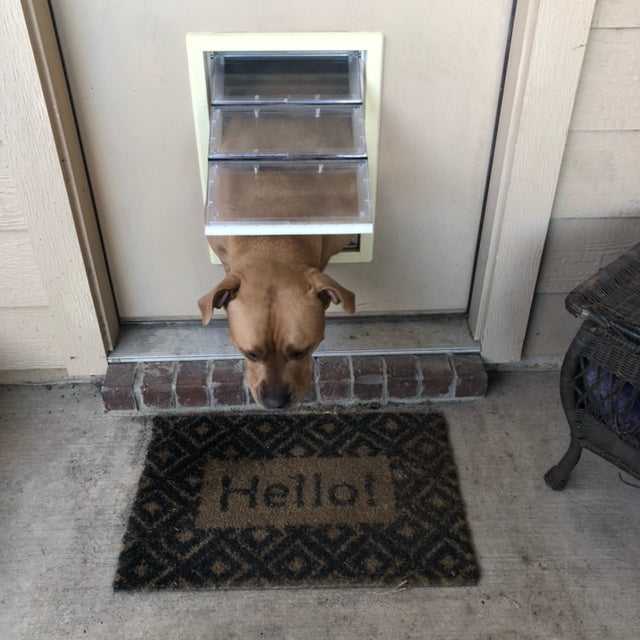 Ideal (Perfect Pet by Ideal) Plastic "Air Seal" "Ultra-Flex" Pet Door
