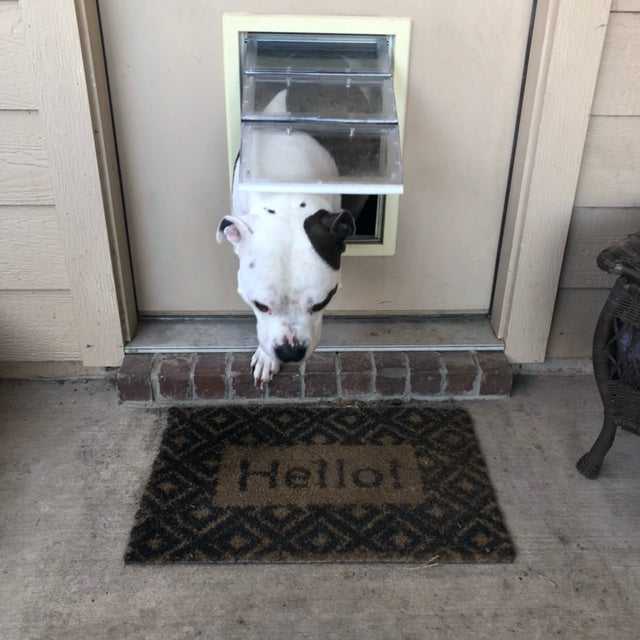 Ideal (Perfect Pet by Ideal) Plastic "Air Seal" "Ultra-Flex" Pet Door