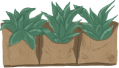 Jute Wall Planters