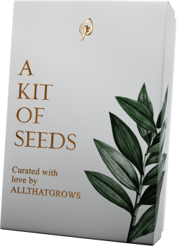 Salad Garden Seed Kit