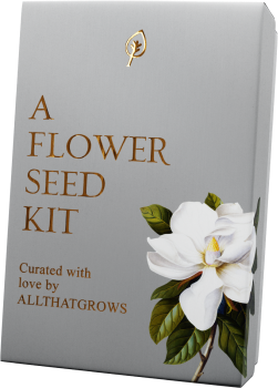 Flower Seed Kit