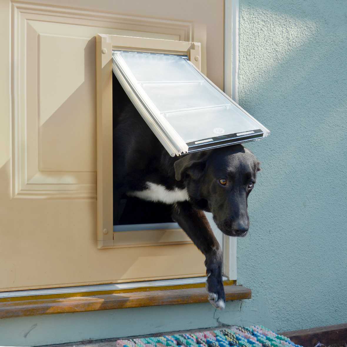 Endura Flap E1 Pet Door for Doors (Ships from Canada)