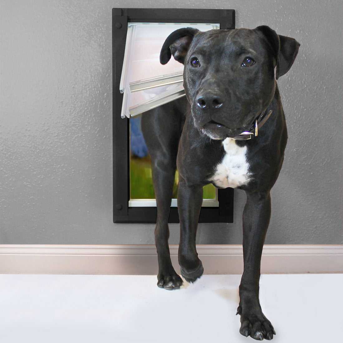 Endura Flap Dog Doors for Walls (Ships from Canada)