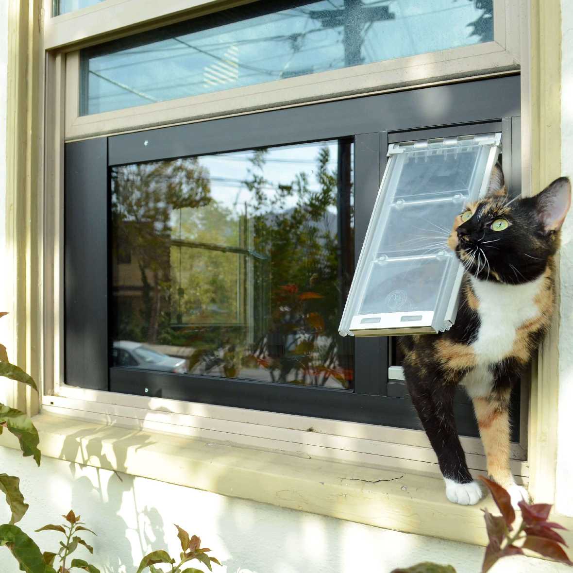 Endura Flap Thermo Sash 3e Pet Doors for Sash Windows