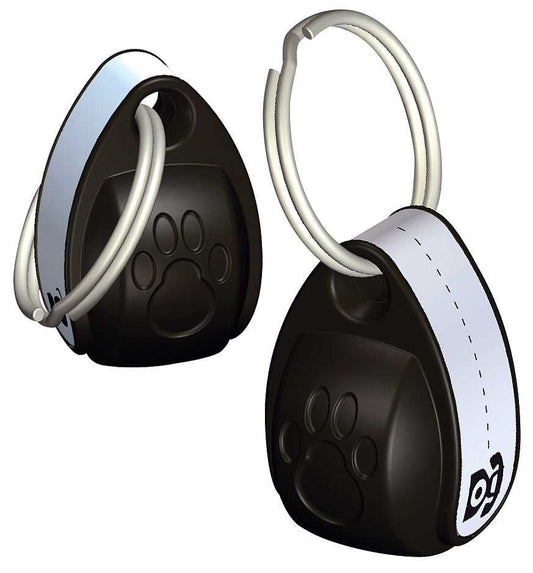 Cat Mate Small Magnetic Collar Key - Set of 2