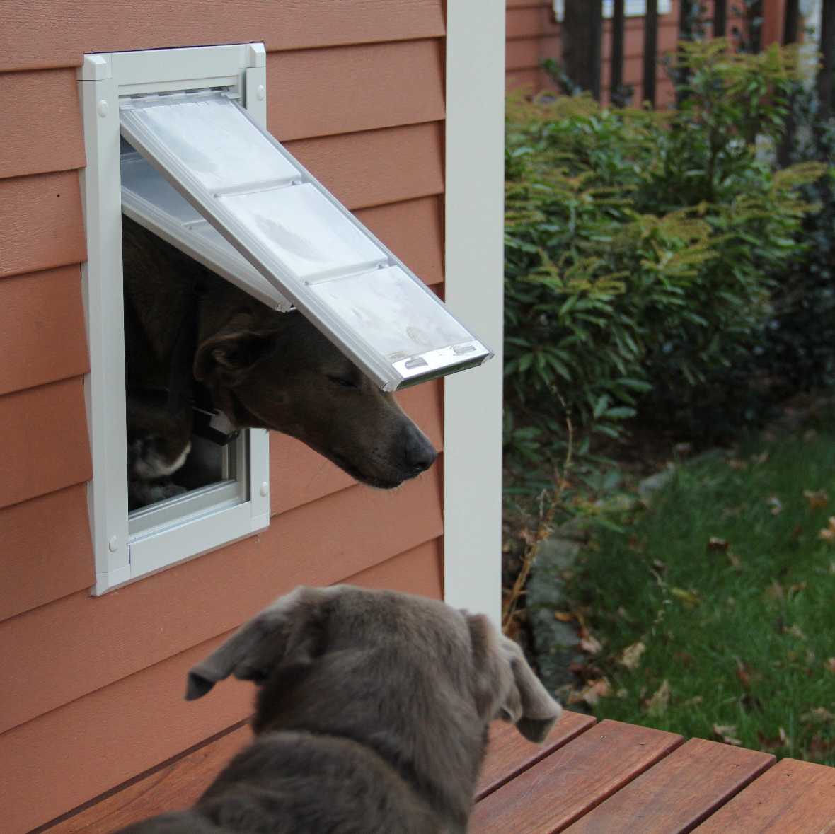 Endura Flap Dog Doors for Walls (Ships from Canada)