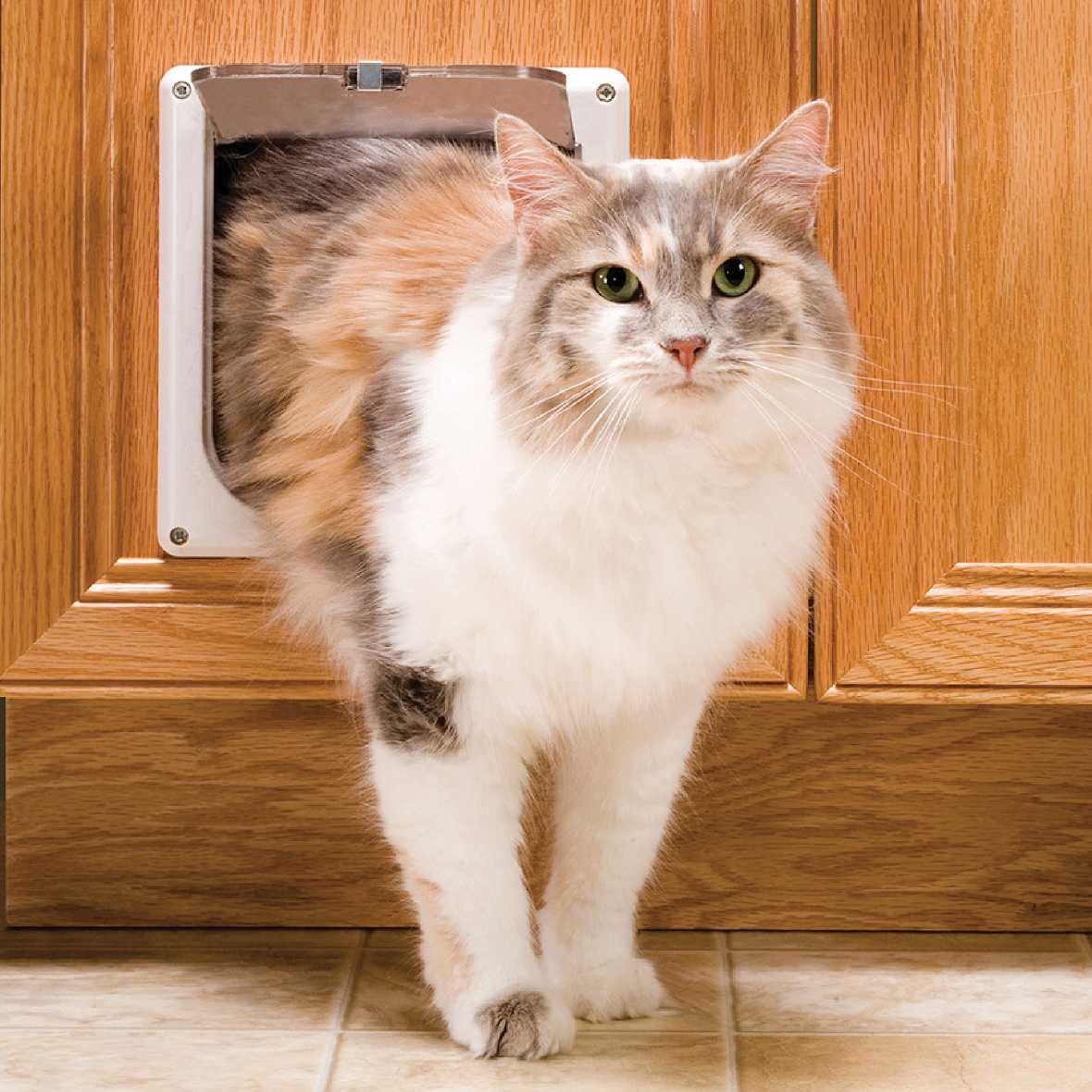 Petsafe Indoor Cat Flap