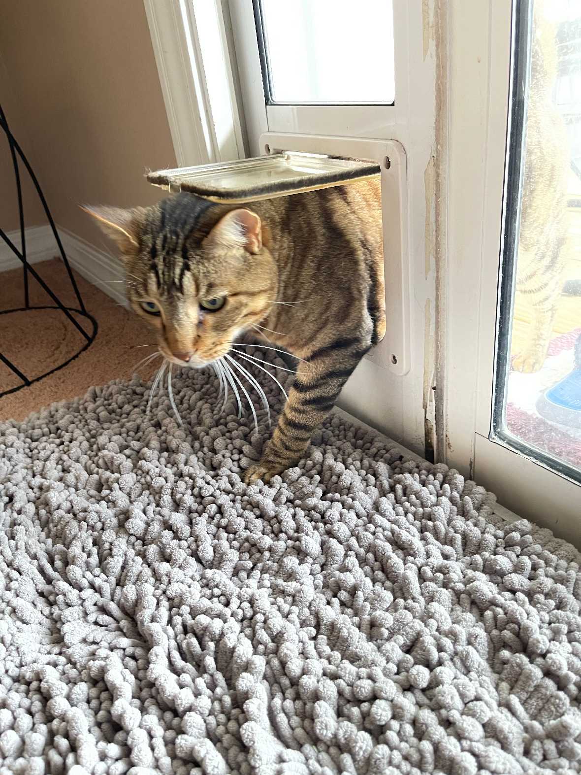 Whiskers & Windows Cat Door For Sliding Glass Door