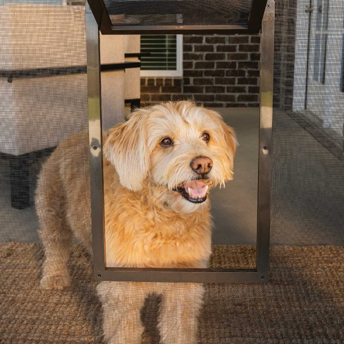 Petsafe Pet Screen Door