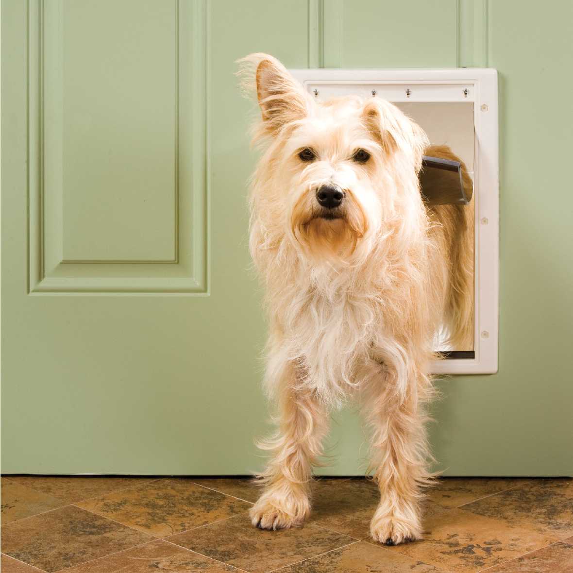 Petsafe Plastic Pet Door