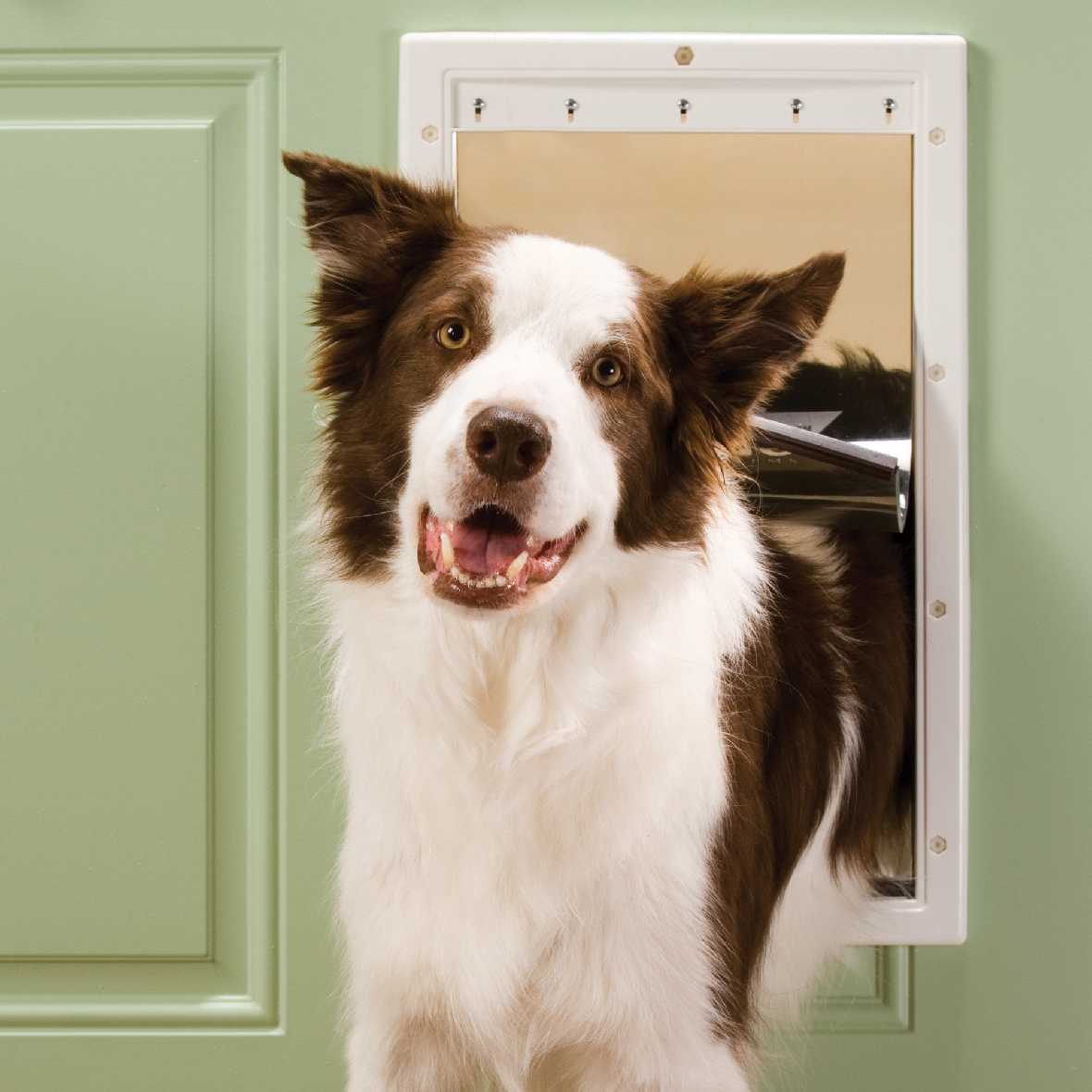 Petsafe Plastic Pet Door