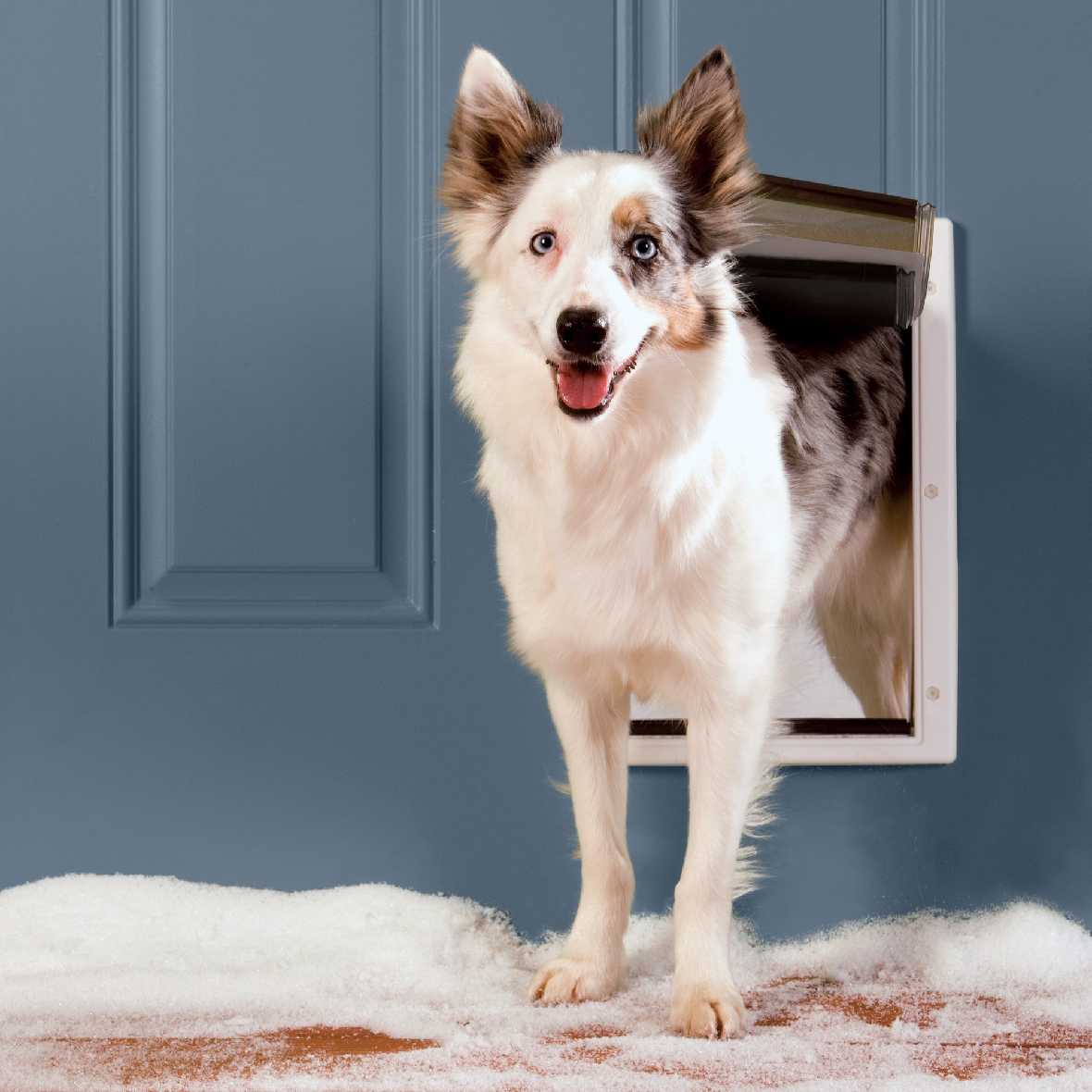 Petsafe Plastic Pet Door