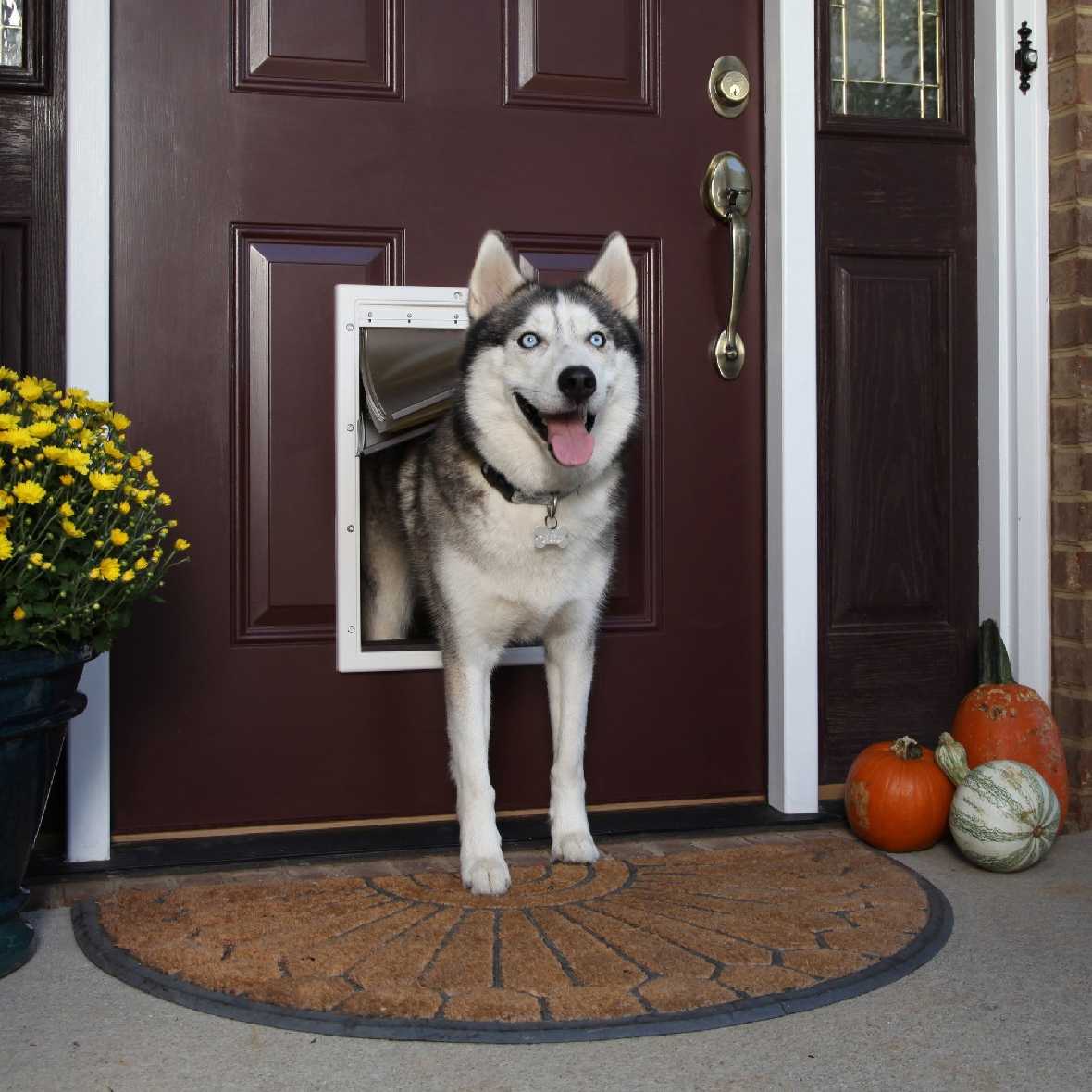 Petsafe Plastic Pet Door