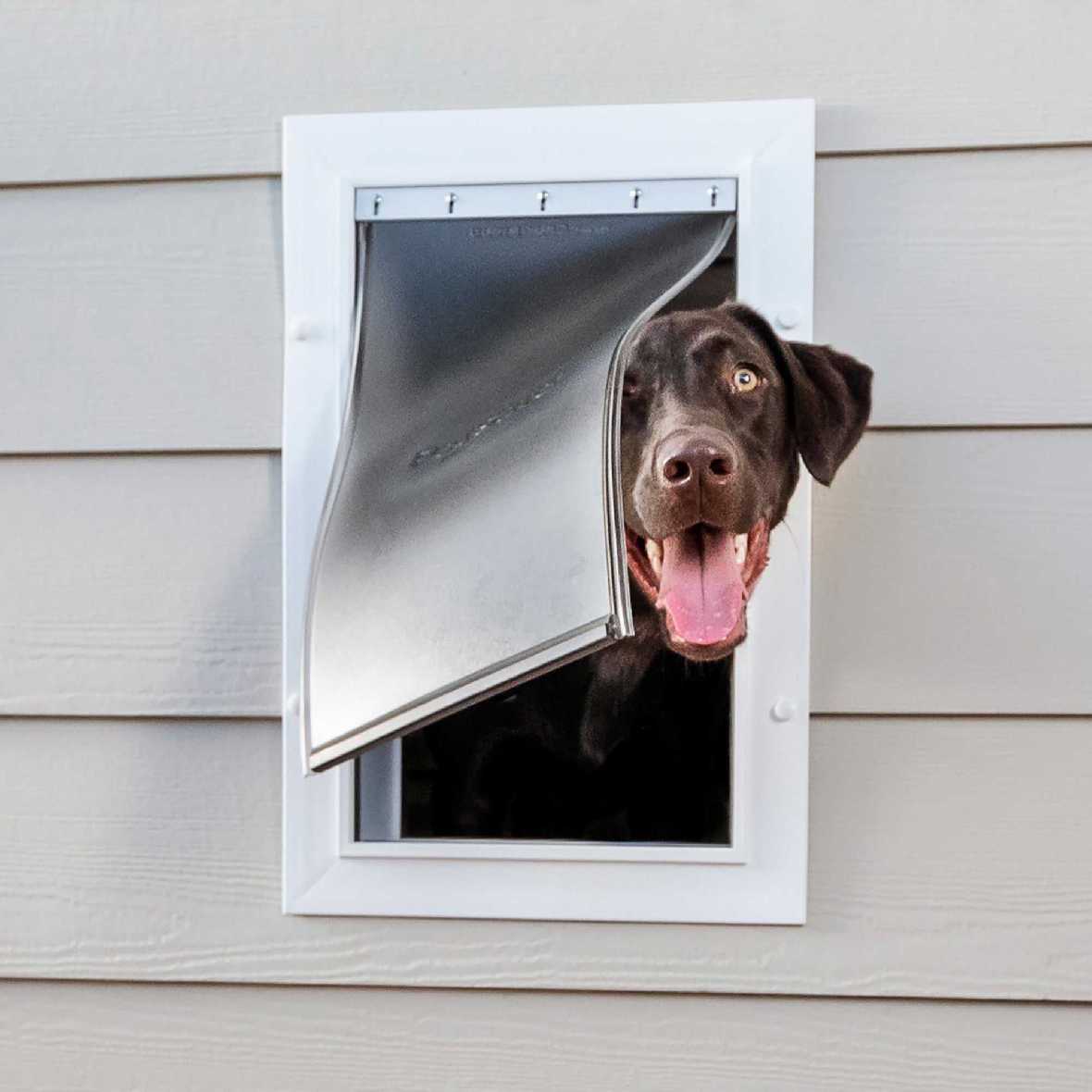 Petsafe Wall Entry Pet Door - Wall Pet Door for Dogs & Cats