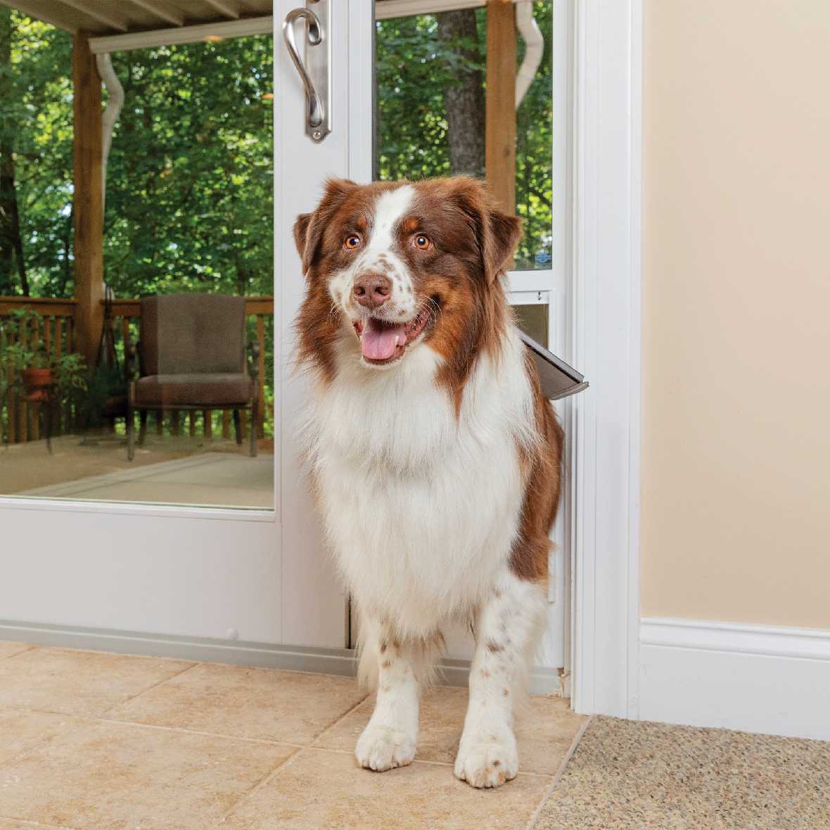 Petsafe Freedom Dog Door for Sliding Glass Door