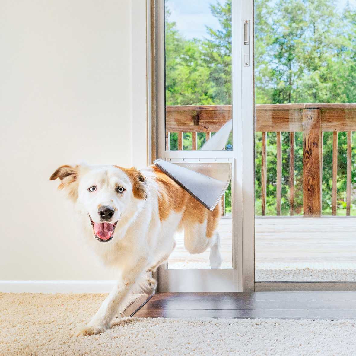 Petsafe Freedom Dog Door for Sliding Glass Door