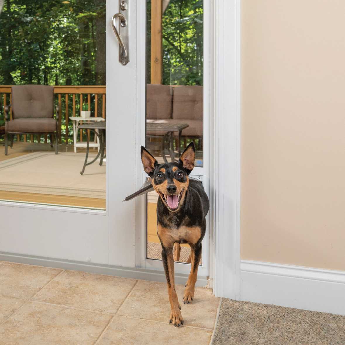 Petsafe Freedom Dog Door for Sliding Glass Door