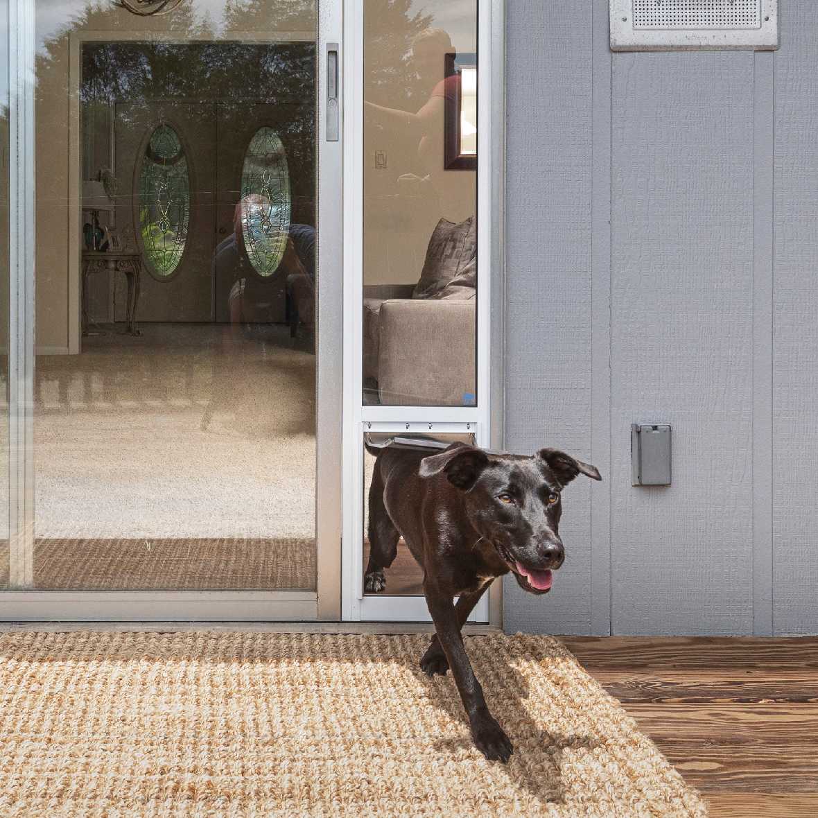 Petsafe Freedom Dog Door for Sliding Glass Door