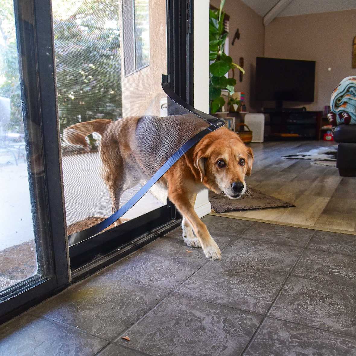 Screen Pet Door Conversion Kit