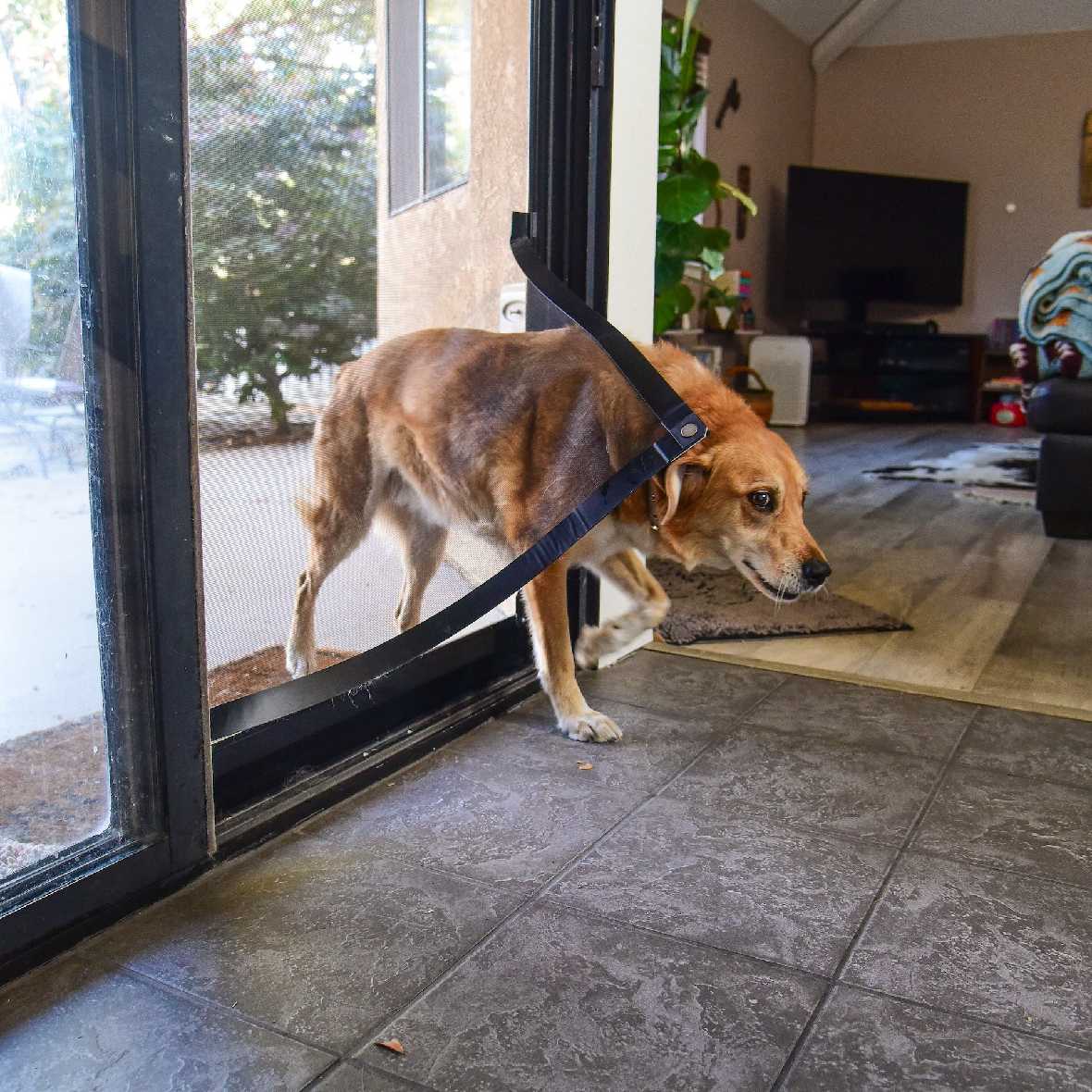 Screen Pet Door Conversion Kit