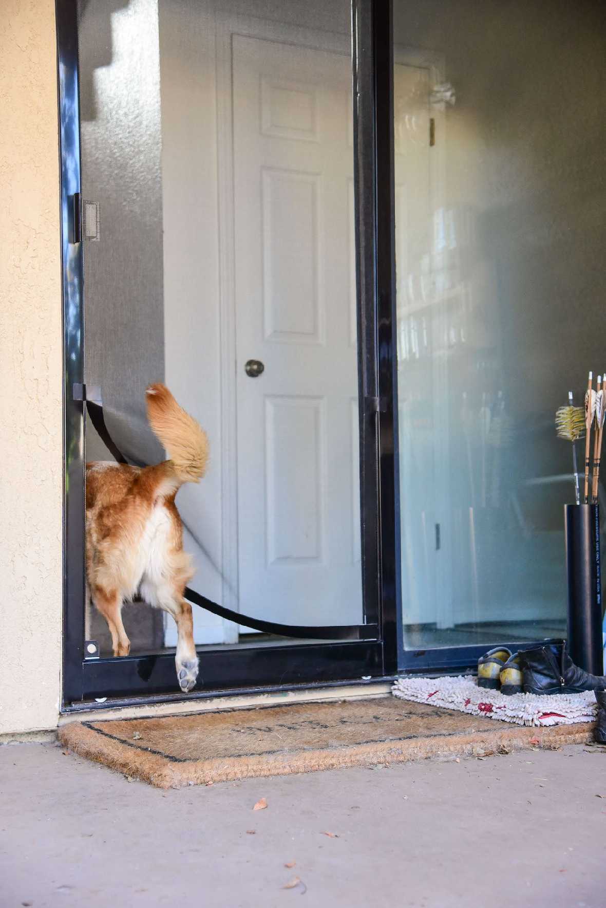 Screen Pet Door Conversion Kit