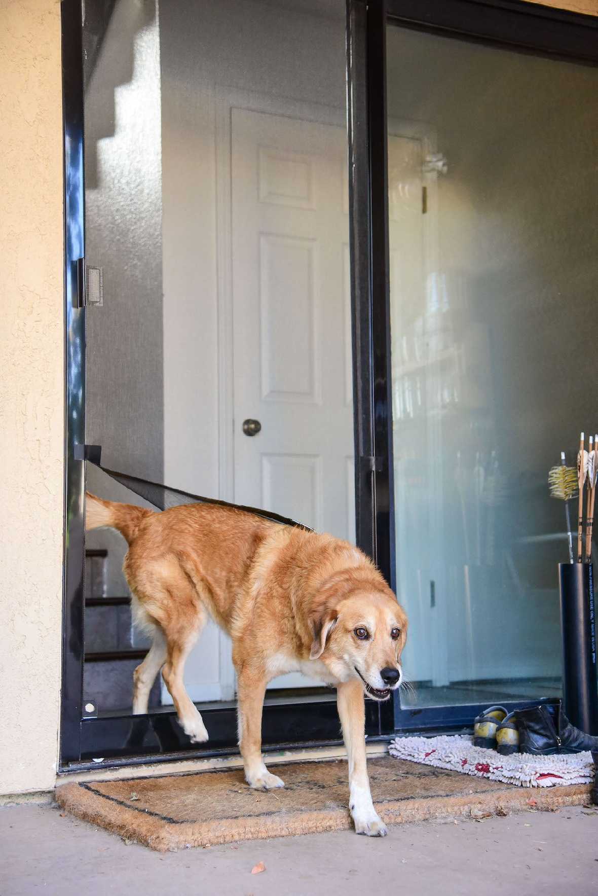 Screen Pet Door Conversion Kit