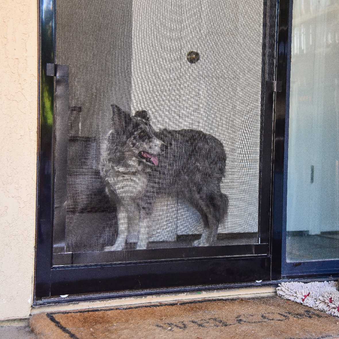 Screen Pet Door Conversion Kit