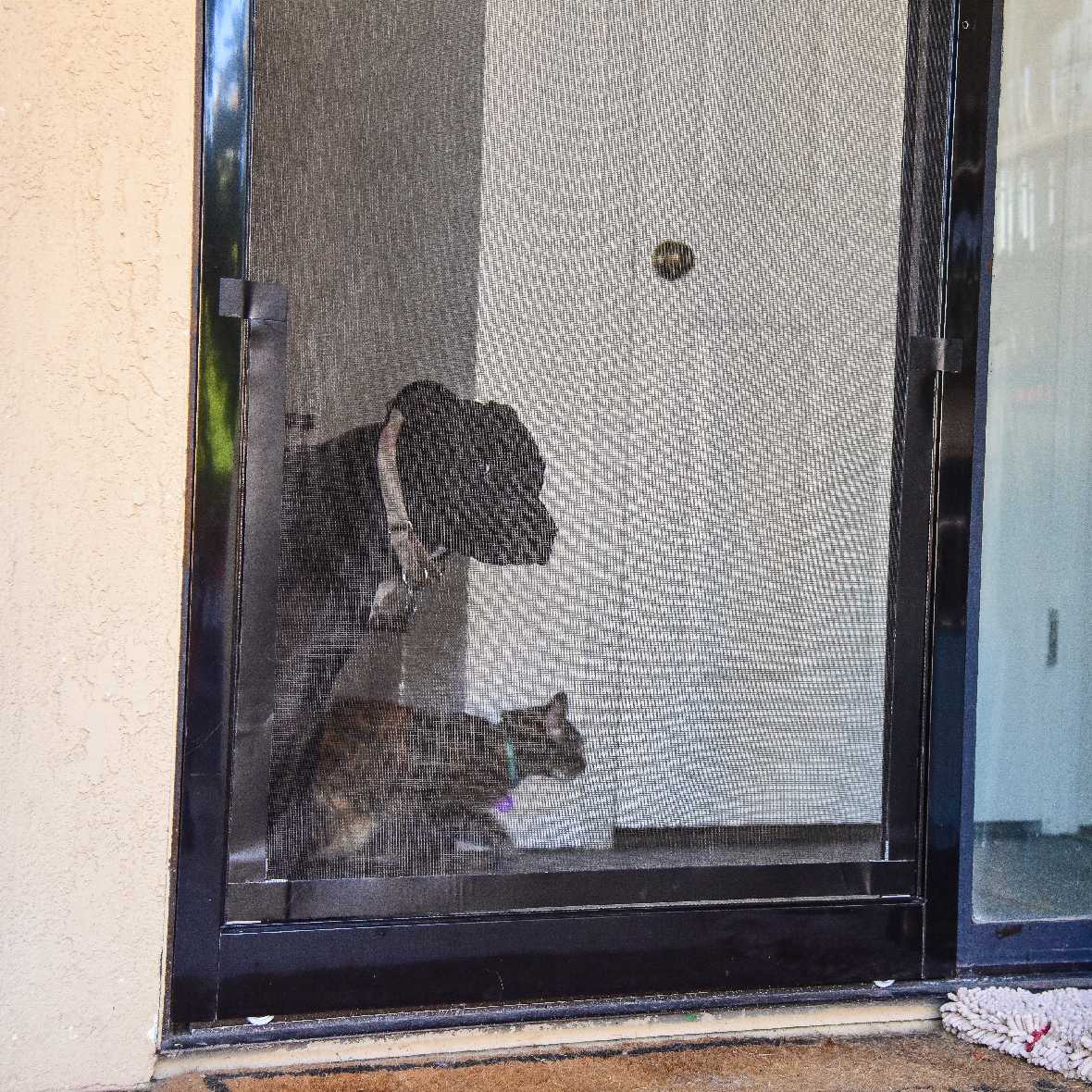 Screen Pet Door Conversion Kit