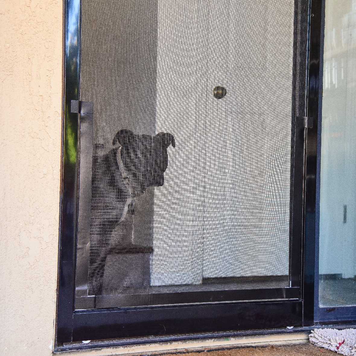 Screen Pet Door Conversion Kit