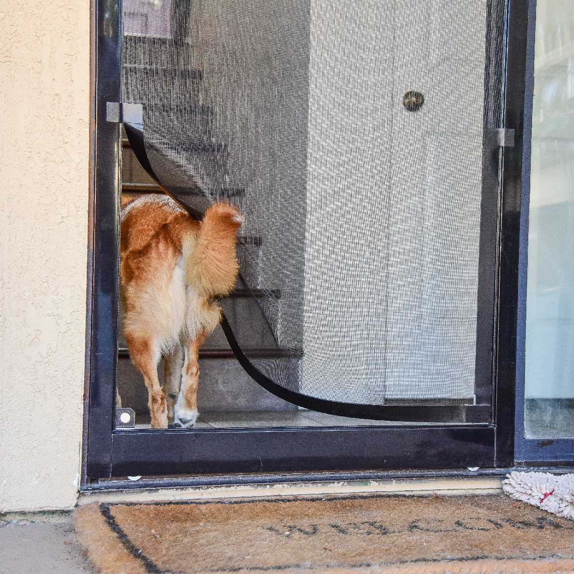 Screen Pet Door Conversion Kit