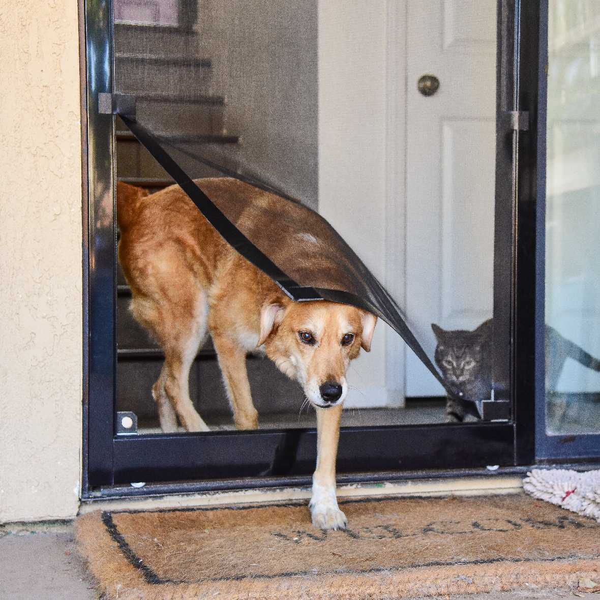 Screen Pet Door Conversion Kit