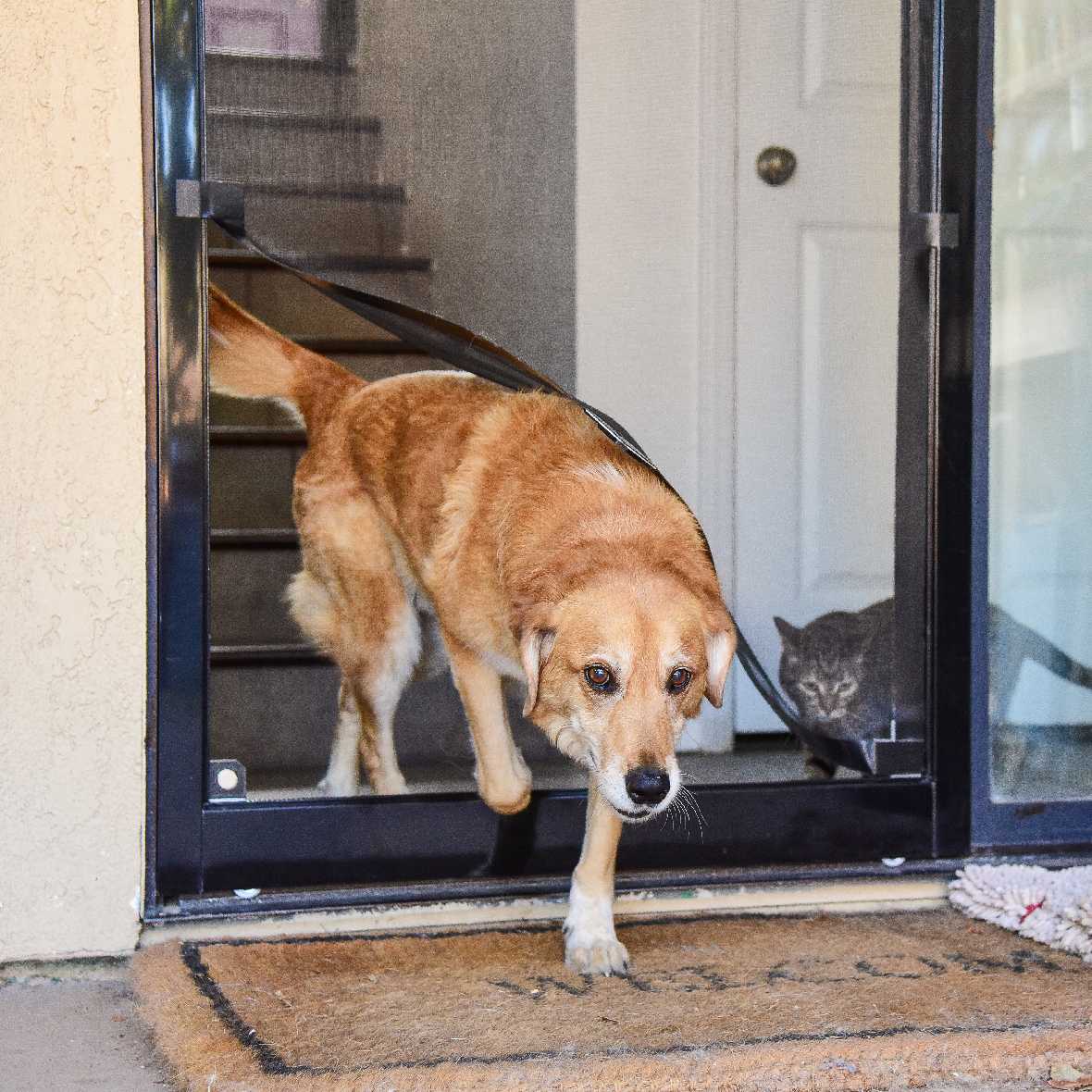 Screen Pet Door Conversion Kit