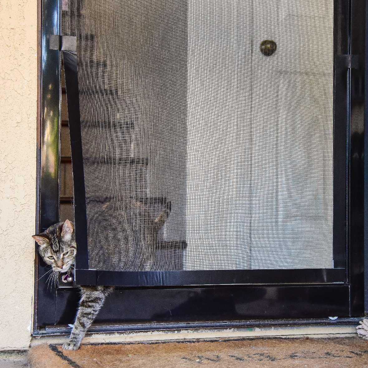 Screen Pet Door Conversion Kit