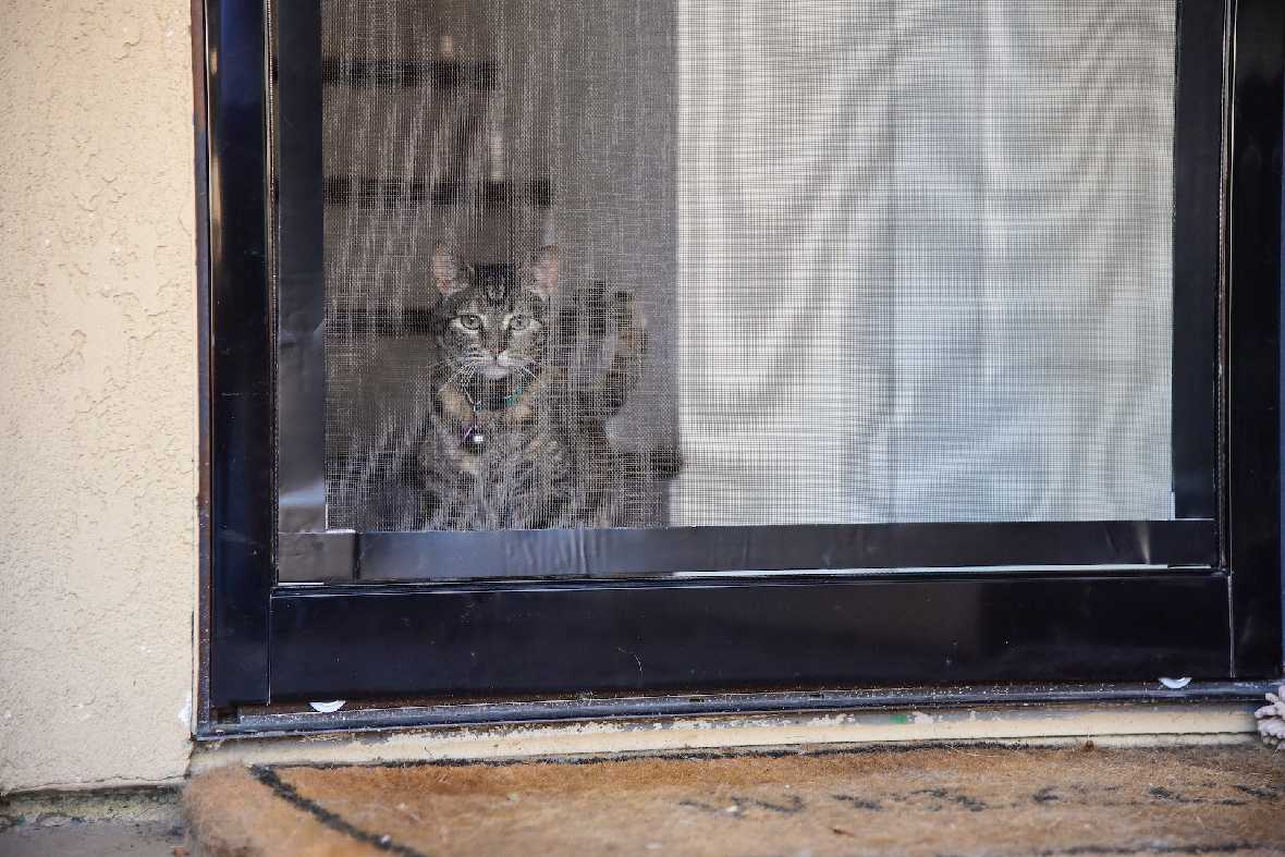 Screen Pet Door Conversion Kit