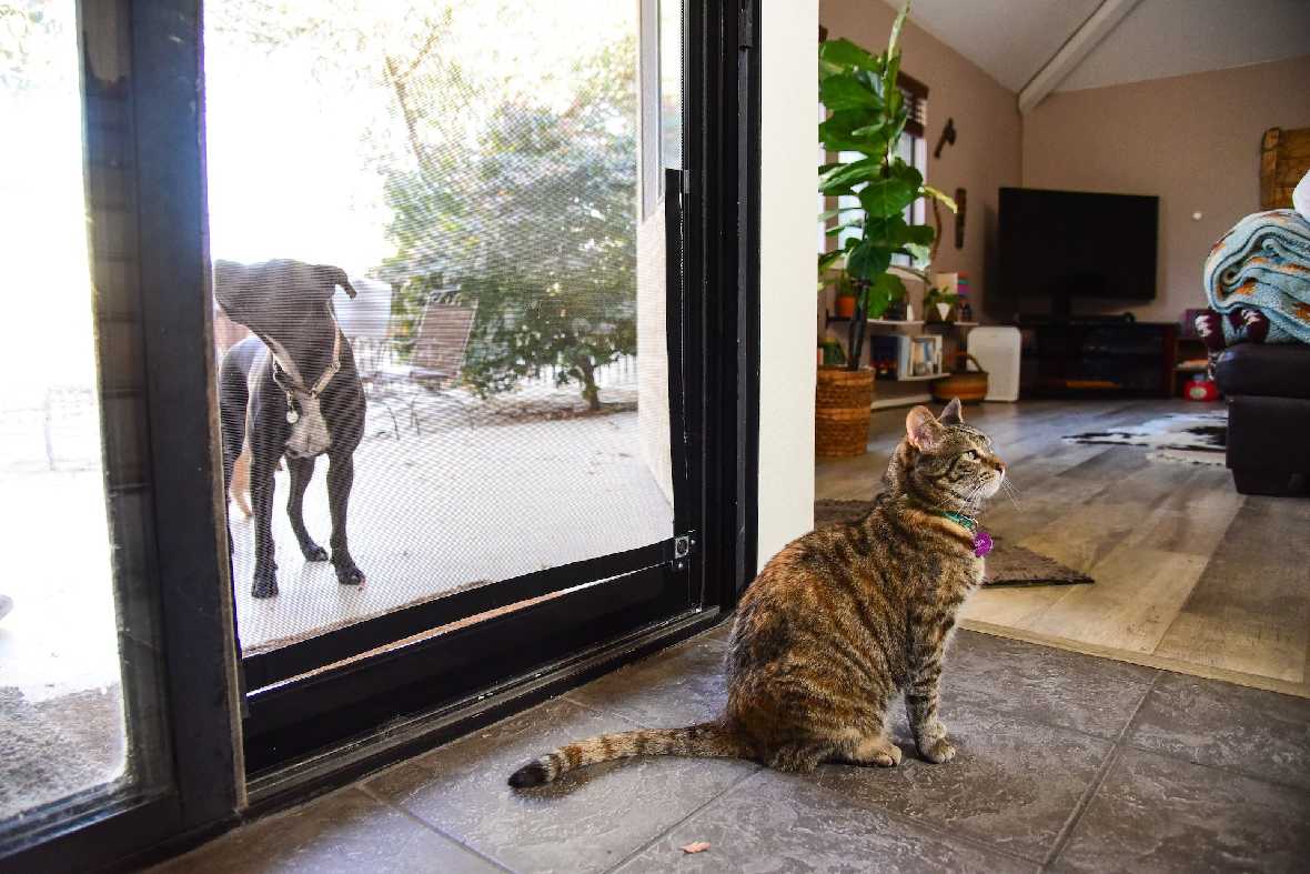 Screen Pet Door Conversion Kit