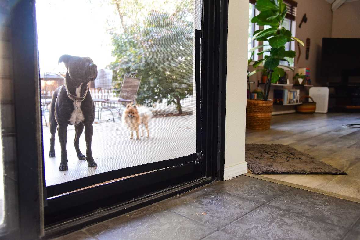 Screen Pet Door Conversion Kit