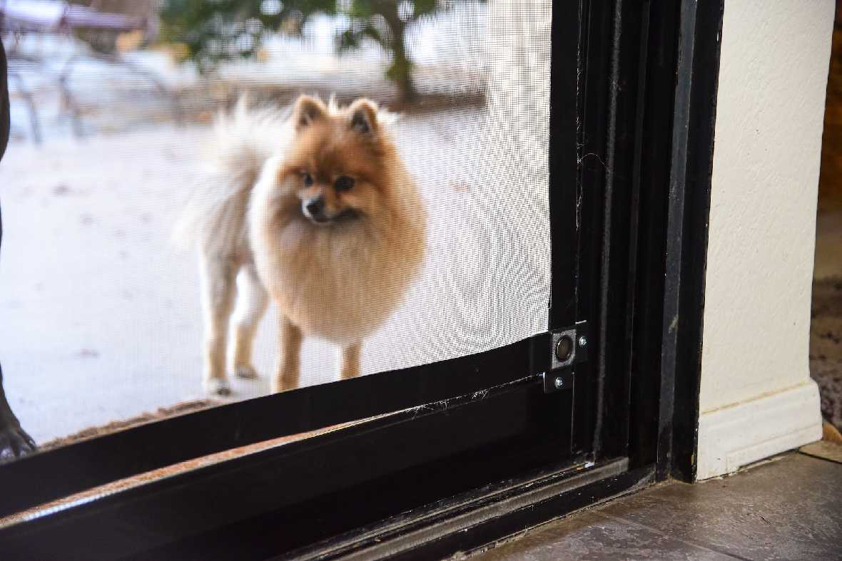 Screen Pet Door Conversion Kit