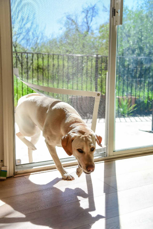 Screen Pet Door Conversion Kit