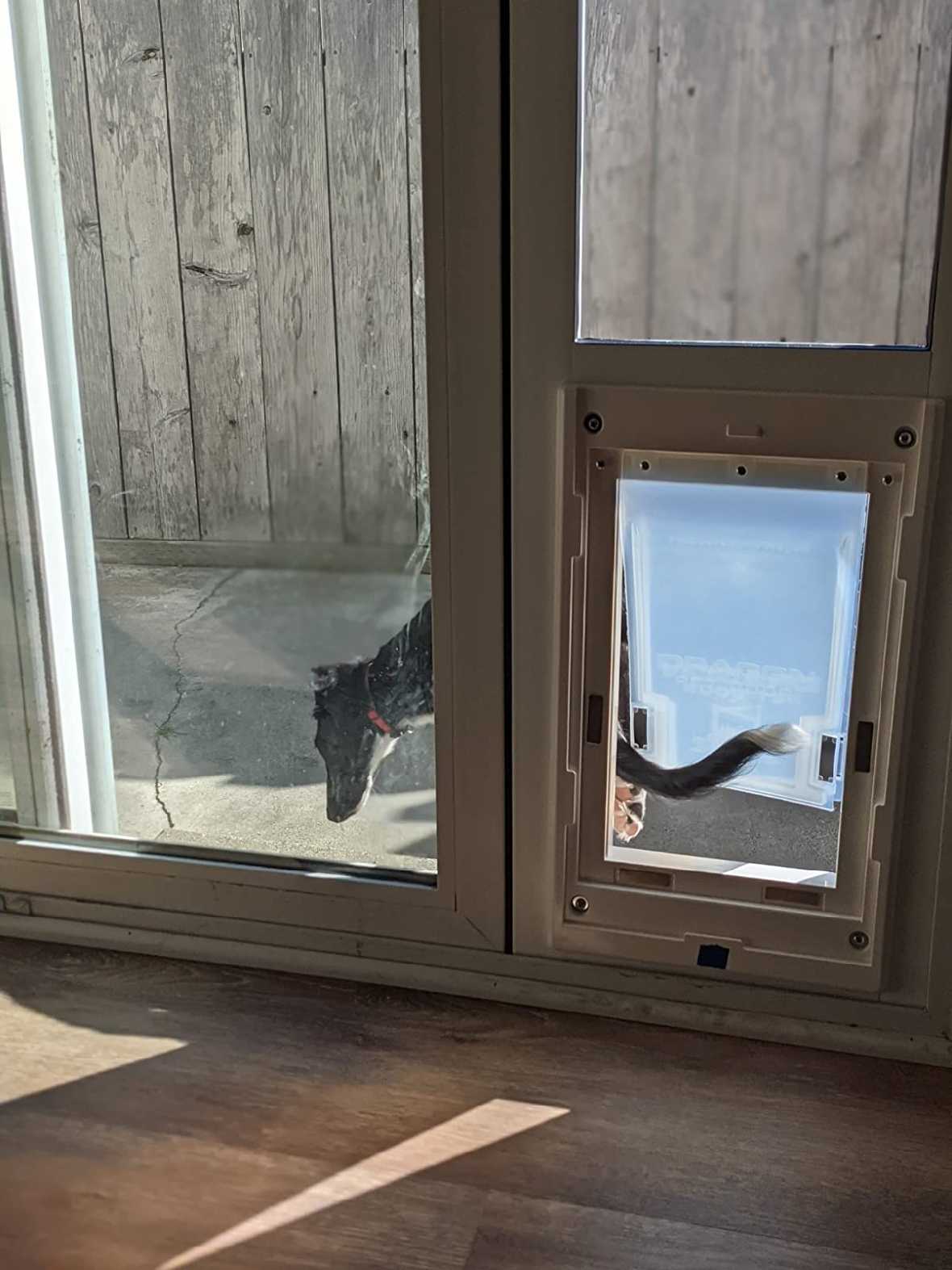 Dragon Pet Door for Vinyl Sliding Glass Doors