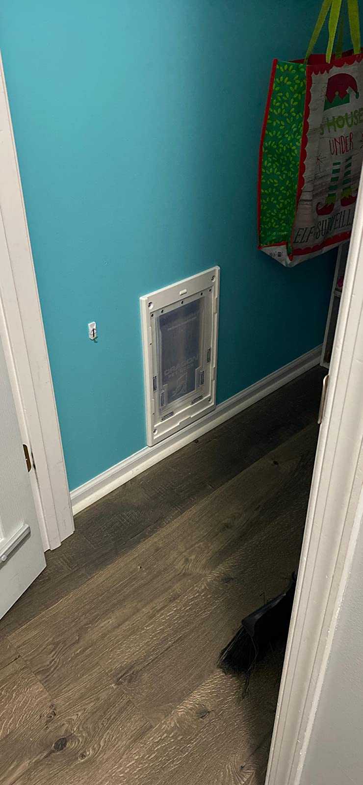 Dragon Wall Pet Door