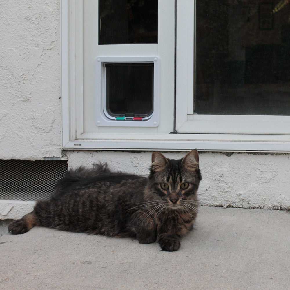 Whiskers & Windows Cat Door For Sliding Glass Door