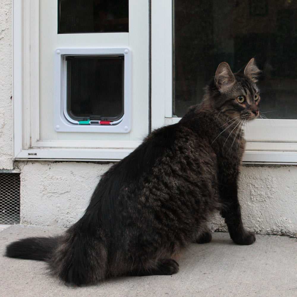 Custom Whiskers & Windows Cat Door For Sliding Glass Door