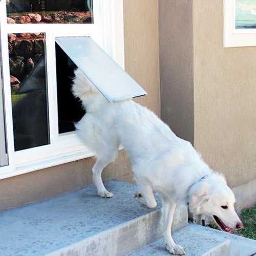 Pet Door Products - "In The Glass"