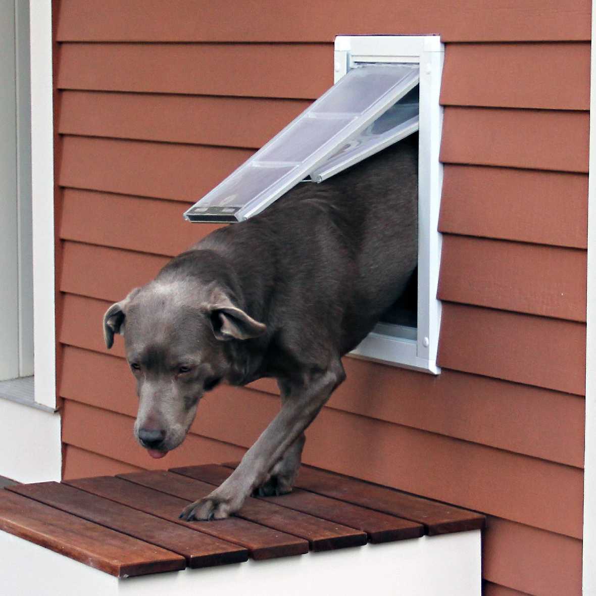 Endura Flap Dog Doors for Walls (Ships from Canada)